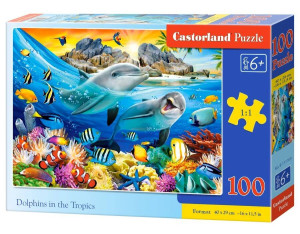 Puzzle 100. Dolphins in the Tropics
