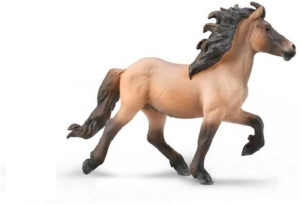 Icelandic Stallion Bay Dun
