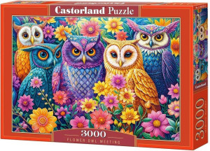 Puzzle 3000 Flower Owl Meeting CASTOR