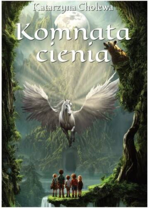 Komnata cienia