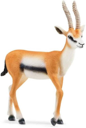Gazela Thomsona