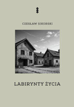 Labirynty życia. E-book
