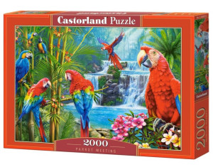 Puzzle 2000. Parrot Meeting