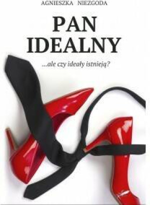 Pan Idealny