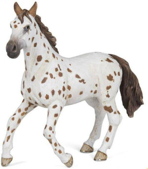 Klacz Appaloosa