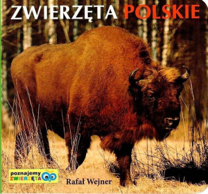 Zwierzęta polskie. Poznajemy zwierzęta