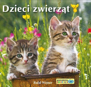 Dzieci zwierząt. Poznajemy zwierzęta