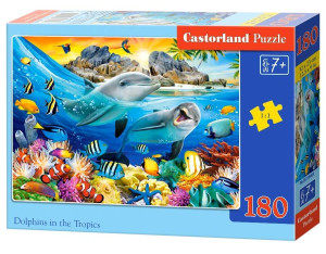 Puzzle 180. Dolphins in the Tropics