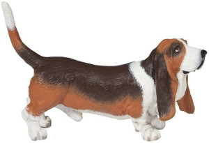Basset