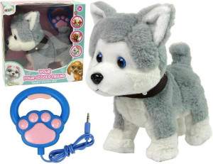 Husky interaktywny