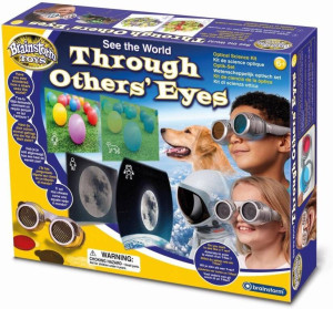 Zobacz świat oczami innych. Okulary Brainstorm