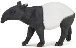 Tapir