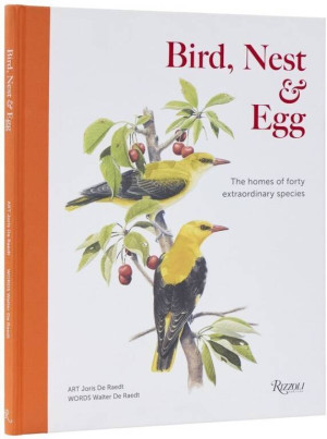 Bird, Nest & Egg