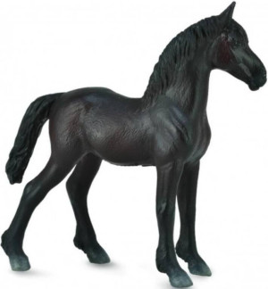 Źrebię Friesian Foal Czarne