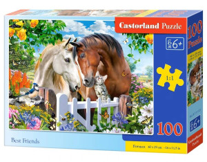 Puzzle 100. Best Friends
