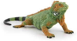 Iguana