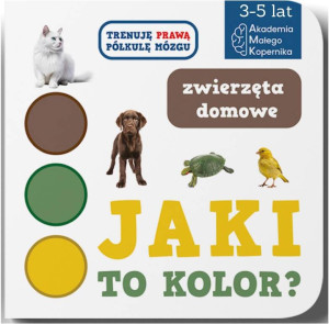 Jaki to kolor? Zwierzeta domowe