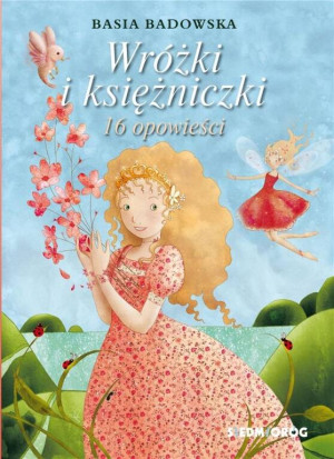 Wróżki i księżniczki 16 opowieści