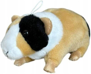 Świnka morska łaciata 14cm