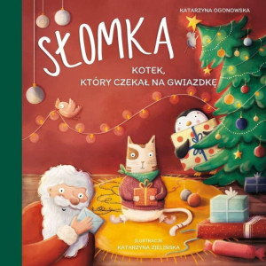 Słomka - kotek, który czekał na Gwiazdkę