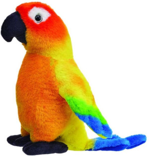 Konura słoneczna 20cm