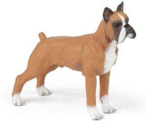 Boxer