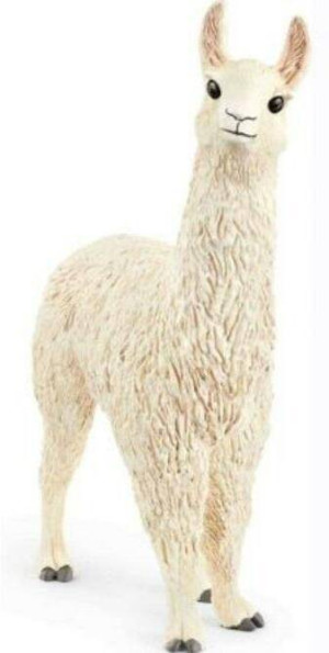 Lama 13920