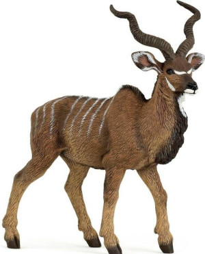 Antylopa kudu wielka