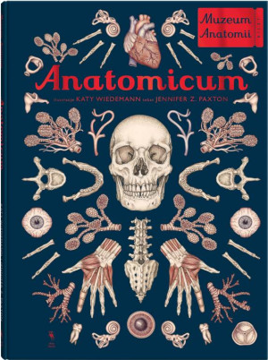 Anatomicum. Muzeum Anatomii. W Muzeum