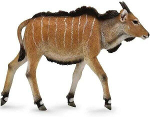 Antylopa Eland cielę