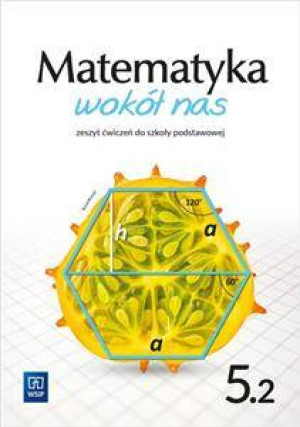Matematyka wokół nas 5.2. Zeszyt ćwiczeń. Szkoła podstawowa