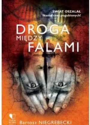 Droga między falami
