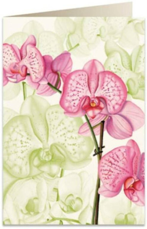 Karnet B6. Różowa orchidea
