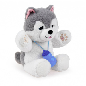 Piesek husky