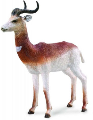 Gazela oryks