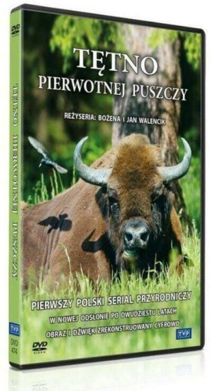 Tętno pierwotnej puszczy. DVD.