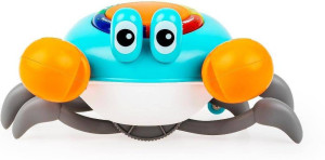 Krab mądrala