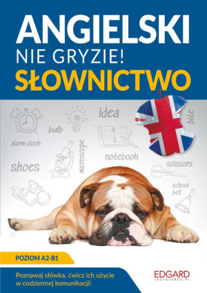 Angielski nie gryzie. Słownictwo