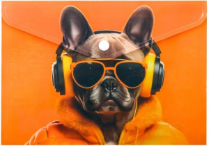 Koperta A5 PP na napę z nadrukiem Cool Dog