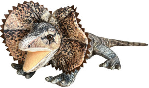 Agama 65cm