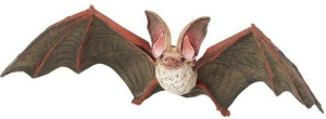 Nietoperz