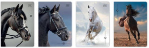 Zeszyt A5/32K kratka M 70g UV Wild Horses (10szt)