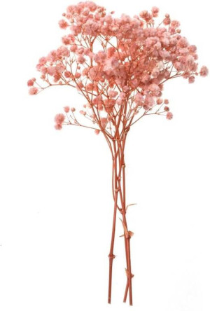 Gipsówka 4 gałązki ok. 20cm light pink