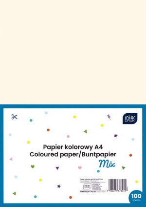 Papier kolorowy A4 100 kartek