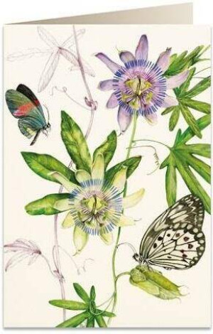 Karnet B6 + koperta: Passiflora