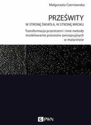 Prześwity. W stronę światła, w stronę mroku.. Transformacja przestrzeni i inne metody modelowania procesów percepcyjnych w malarstwie