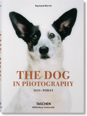 The Dog in Photography
