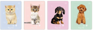 Zeszyt A5/16K kolorowa trzylinia Puppy Sign