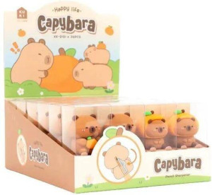 Temperówka Kapibara (24szt)