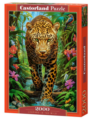 Castor. Puzzle 2000. Leopard in the Wild